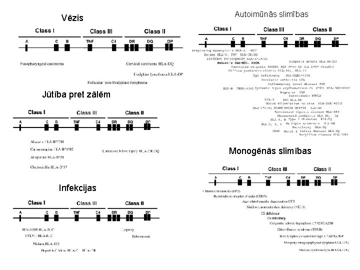 Vēzis Autoimūnās slimības Jūtība pret zālēm Monogēnās slimības Infekcijas 