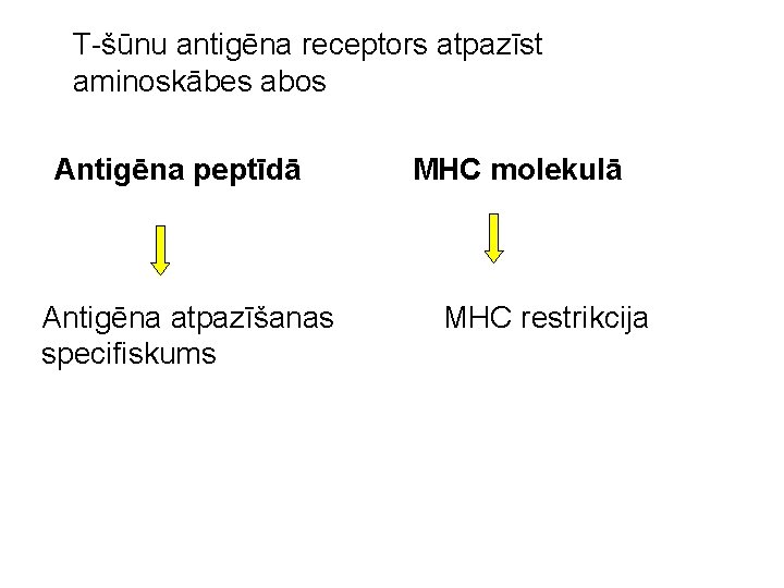 T-šūnu antigēna receptors atpazīst aminoskābes abos Antigēna peptīdā Antigēna atpazīšanas specifiskums MHC molekulā MHC