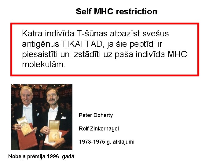 Self MHC restriction Katra indivīda T-šūnas atpazīst svešus antigēnus TIKAI TAD, ja šie peptīdi