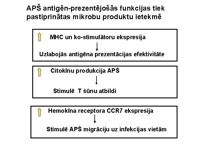 APŠ antigēn-prezentējošās funkcijas tiek pastiprinātas mikrobu produktu ietekmē MHC un ko-stimulātoru ekspresija Uzlabojās antigēna