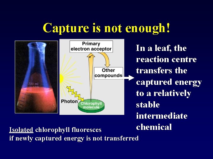 Capture is not enough! In a leaf, the reaction centre transfers the captured energy
