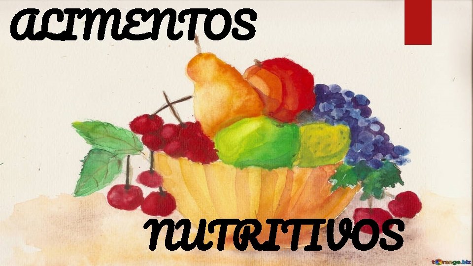 ALIMENTOS NUTRITIVOS 