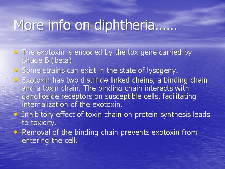 More info on diphtheria…… • The exotoxin is encoded by the tox gene carried