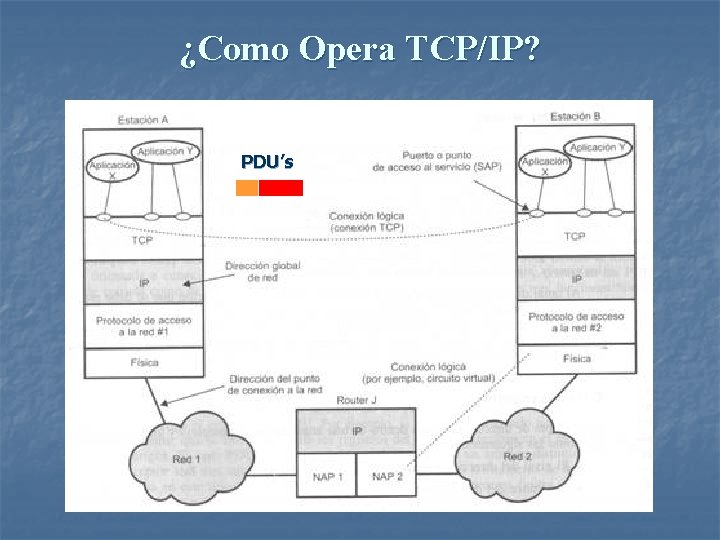 ¿Como Opera TCP/IP? PDU’s 