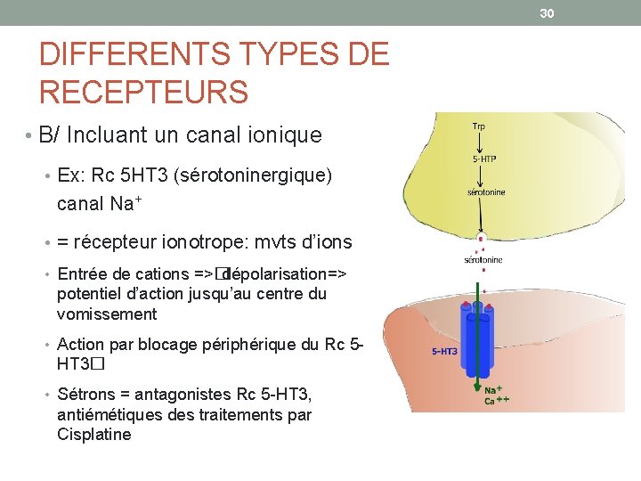 30 DIFFERENTS TYPES DE RECEPTEURS • B/ Incluant un canal ionique • Ex: Rc