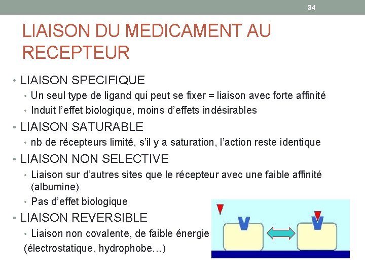 34 LIAISON DU MEDICAMENT AU RECEPTEUR • LIAISON SPECIFIQUE • Un seul type de