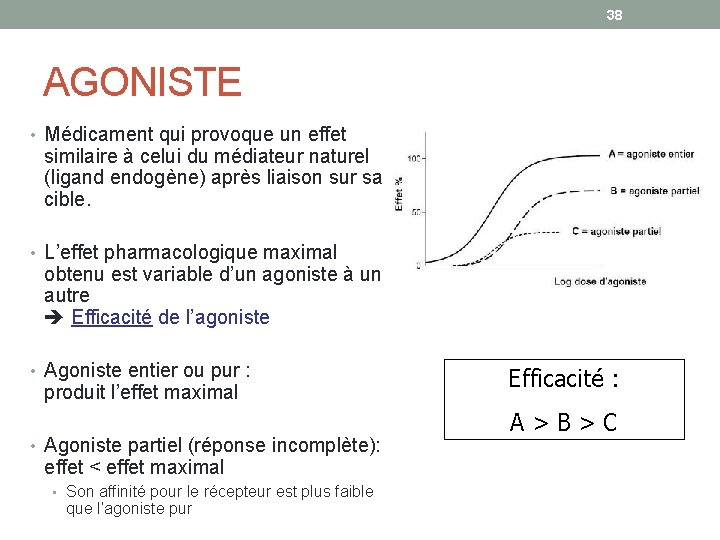 38 AGONISTE • Médicament qui provoque un effet similaire à celui du médiateur naturel