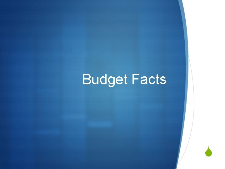 Budget Facts S 
