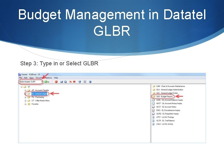 Budget Management in Datatel GLBR Step 3: Type in or Select GLBR 