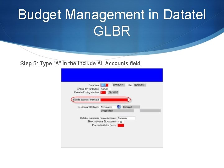 Budget Management in Datatel GLBR Step 5: Type “A” in the Include All Accounts