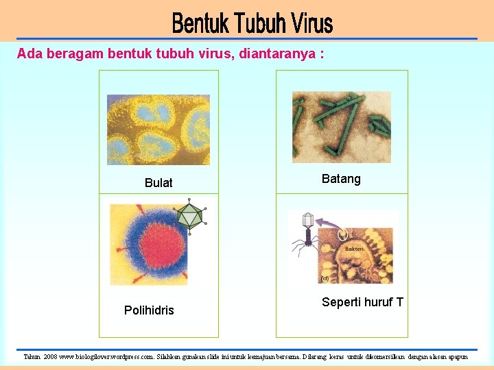 Ada beragam bentuk tubuh virus, diantaranya : Bulat Polihidris Batang Seperti huruf T Tahun