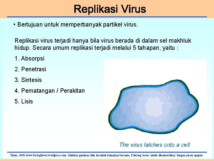  • Bertujuan untuk memperbanyak partikel virus. Replikasi virus terjadi hanya bila virus berada