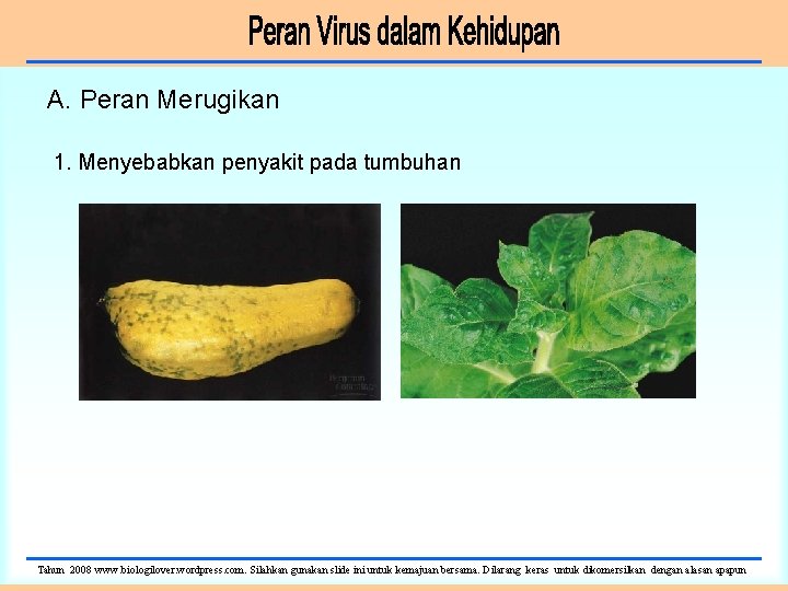 A. Peran Merugikan 1. Menyebabkan penyakit pada tumbuhan Tahun 2008 www. biologilover. wordpress. com.