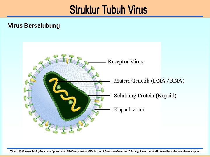 Virus Berselubung Reseptor Virus Materi Genetik (DNA / RNA) Selubung Protein (Kapsid) Kapsul virus