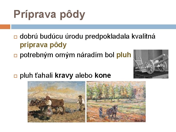 Príprava pôdy dobrú budúcu úrodu predpokladala kvalitná príprava pôdy potrebným orným náradím bol pluh