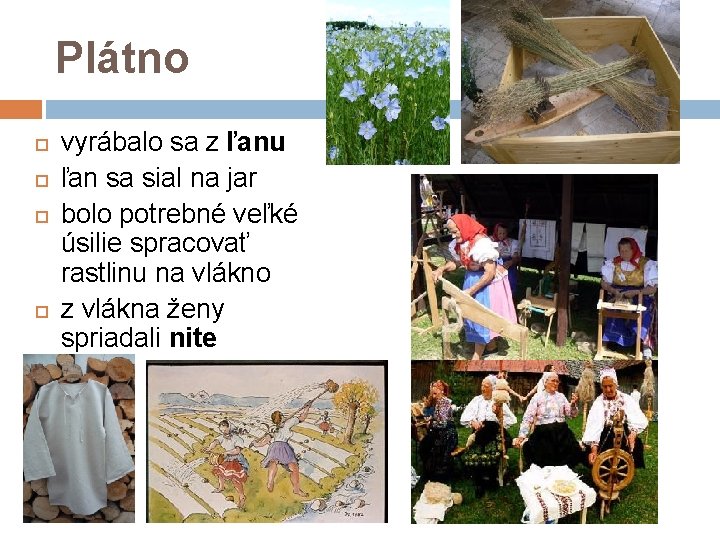 Plátno vyrábalo sa z ľanu ľan sa sial na jar bolo potrebné veľké úsilie