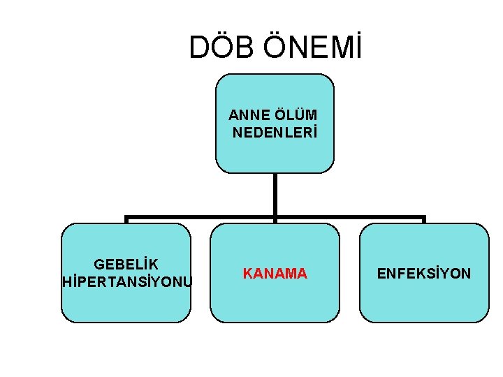 DÖB ÖNEMİ ANNE ÖLÜM NEDENLERİ GEBELİK HİPERTANSİYONU KANAMA ENFEKSİYON 