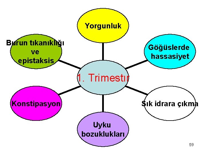 Yorgunluk Burun tıkanıklığı ve epistaksis Göğüslerde hassasiyet 1. Trimestır Konstipasyon Sık idrara çıkma Uyku