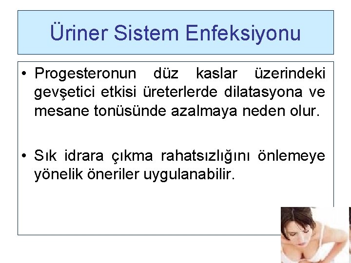 Üriner Sistem Enfeksiyonu • Progesteronun düz kaslar üzerindeki gevşetici etkisi üreterlerde dilatasyona ve mesane