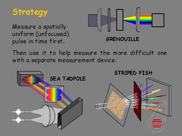 Strategy Measure a spatially uniform (unfocused) pulse in time first. GRENOUILLE Then use it