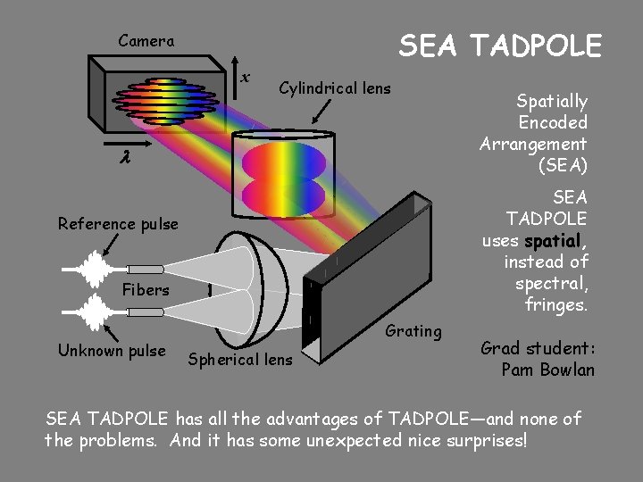 SEA TADPOLE Camera x Cylindrical lens l SEA TADPOLE uses spatial, instead of spectral,