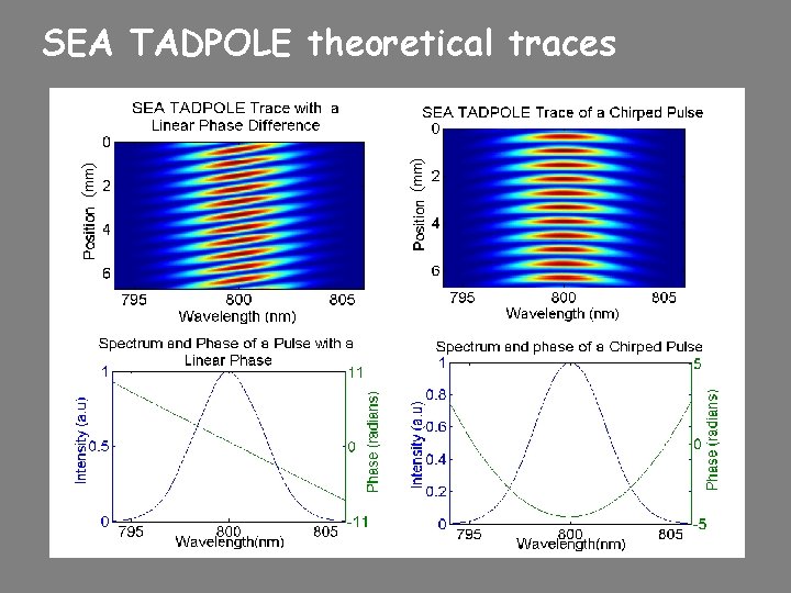 (mm) SEA TADPOLE theoretical traces 