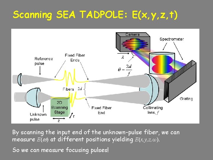 Scanning SEA TADPOLE: E(x, y, z, t) By scanning the input end of the