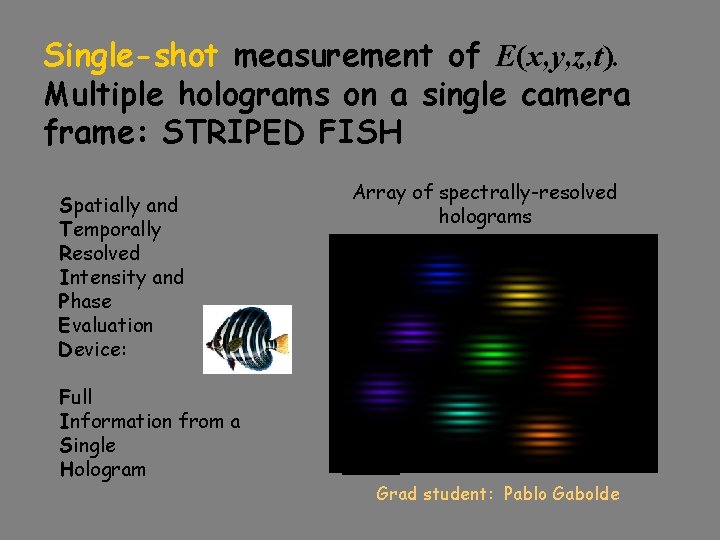 Single-shot measurement of E(x, y, z, t). Multiple holograms on a single camera frame: