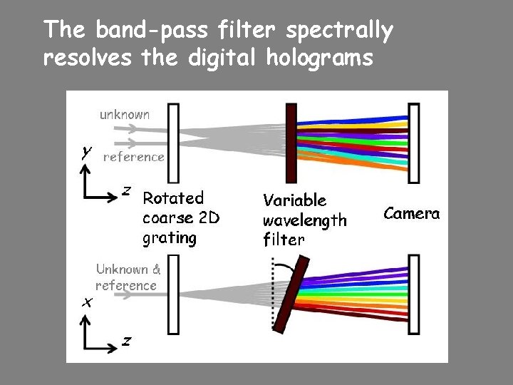 The band-pass filter spectrally resolves the digital holograms 
