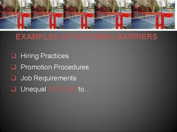 EXAMPLES OF SYSTEMIC BARRIERS q Hiring Practices q Promotion Procedures q Job Requirements q