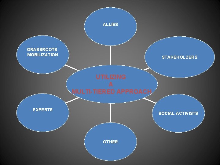 ALLIES GRASSROOTS MOBILIZATION STAKEHOLDERS UTILIZING A MULTI-TIERED APPROACH EXPERTS SOCIAL ACTIVISTS OTHER 
