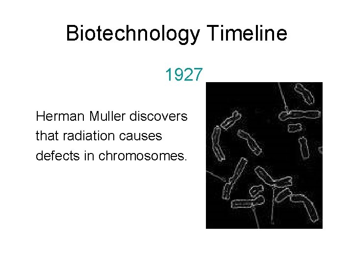 Biotechnology Timeline 1927 Herman Muller discovers that radiation causes defects in chromosomes. 