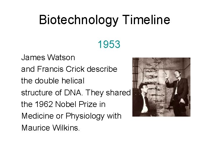 Biotechnology Timeline 1953 James Watson and Francis Crick describe the double helical structure of