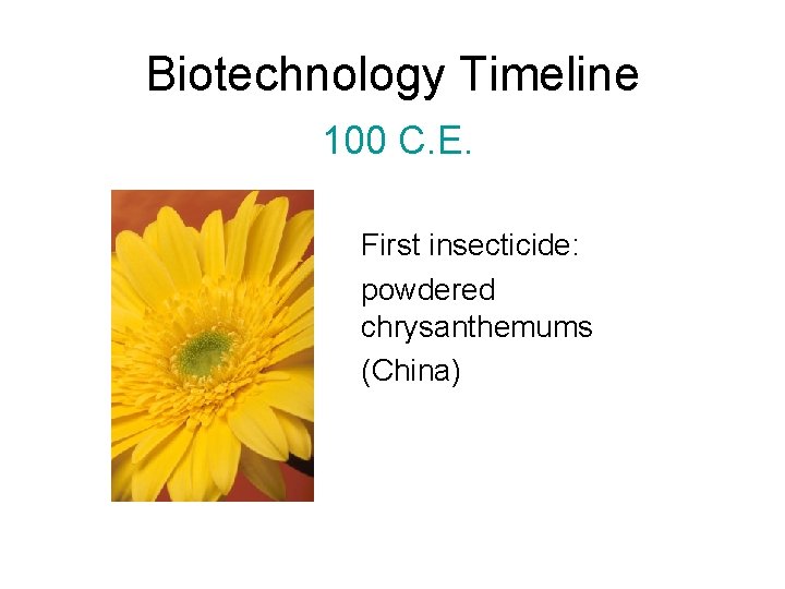 Biotechnology Timeline 100 C. E. First insecticide: powdered chrysanthemums (China) 