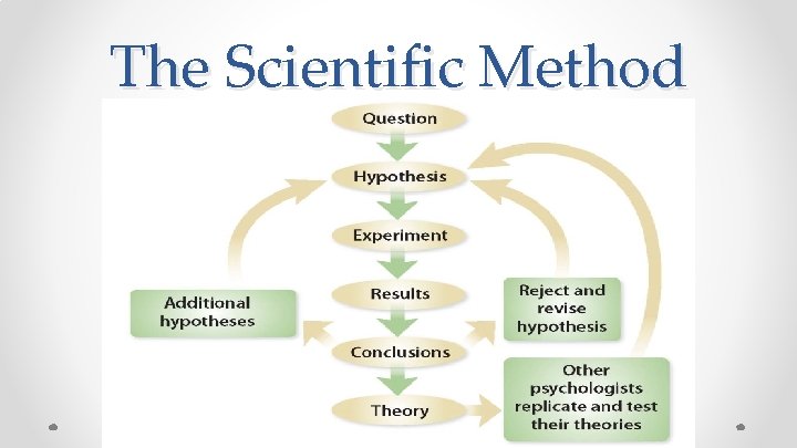 The Scientific Method 