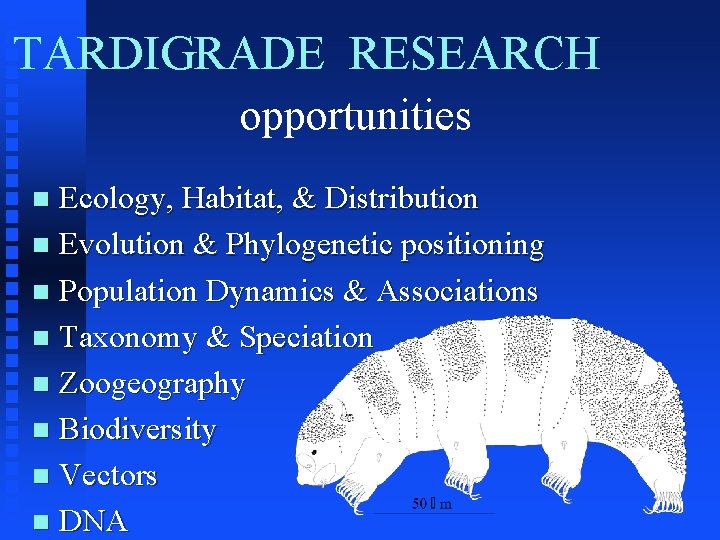 TARDIGRADE RESEARCH opportunities Ecology, Habitat, & Distribution n Evolution & Phylogenetic positioning n Population