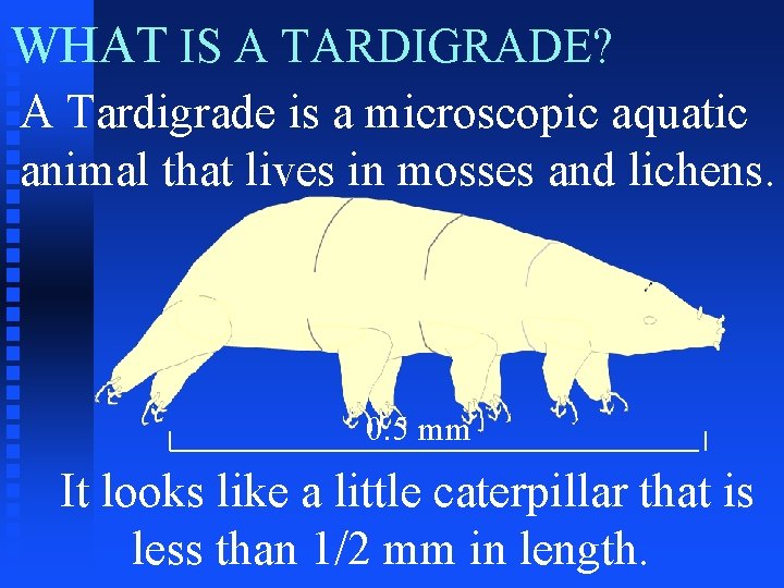 WHAT IS A TARDIGRADE? A Tardigrade is a microscopic aquatic animal that lives in