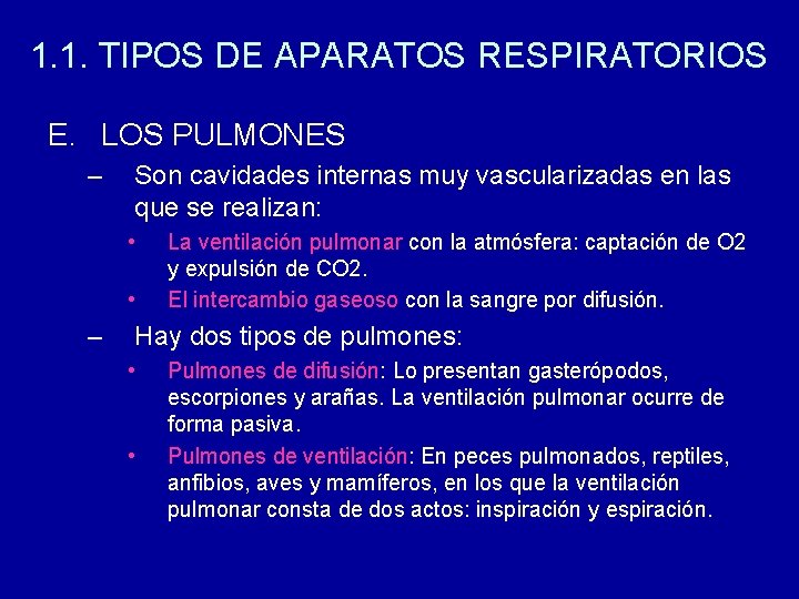 1. 1. TIPOS DE APARATOS RESPIRATORIOS E. LOS PULMONES – Son cavidades internas muy