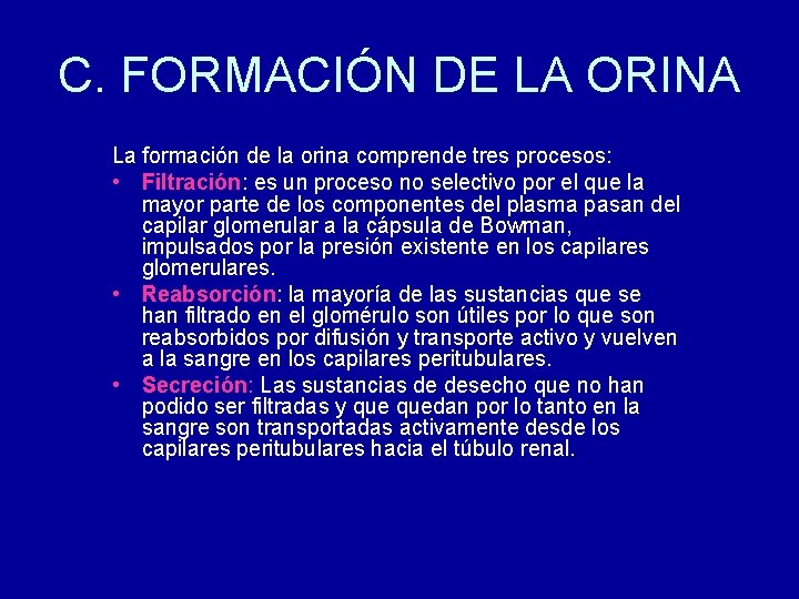 C. FORMACIÓN DE LA ORINA La formación de la orina comprende tres procesos: •