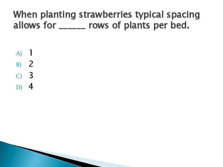 When planting strawberries typical spacing allows for ______ rows of plants per bed. A)