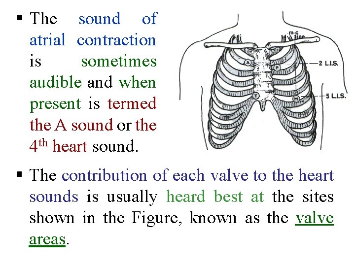 § The sound of atrial contraction is sometimes audible and when present is termed