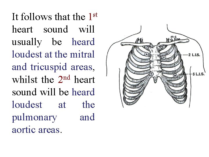 It follows that the 1 st heart sound will usually be heard loudest at