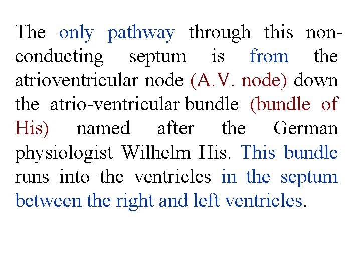 The only pathway through this non conducting septum is from the atrioventricular node (A.