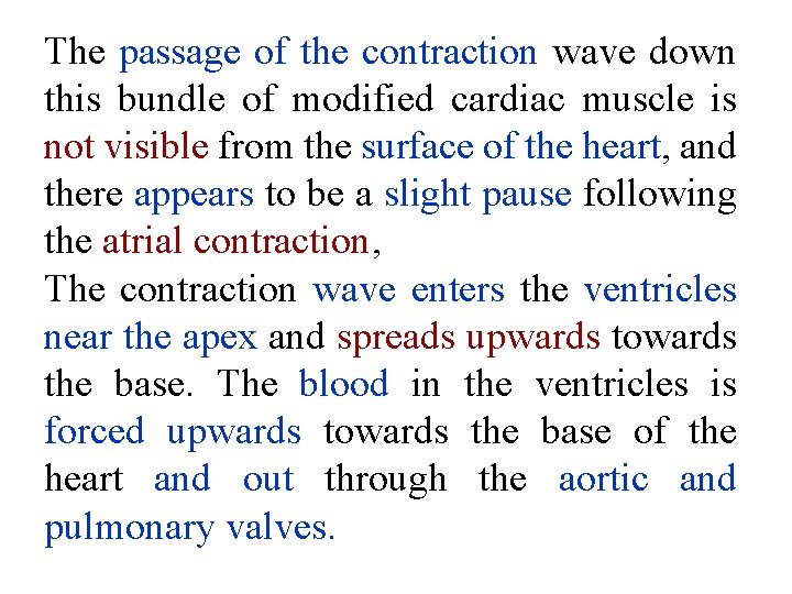 The passage of the contraction wave down this bundle of modified cardiac muscle is