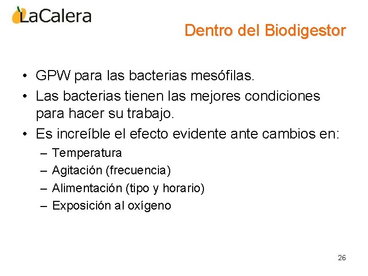 Dentro del Biodigestor • GPW para las bacterias mesófilas. • Las bacterias tienen las