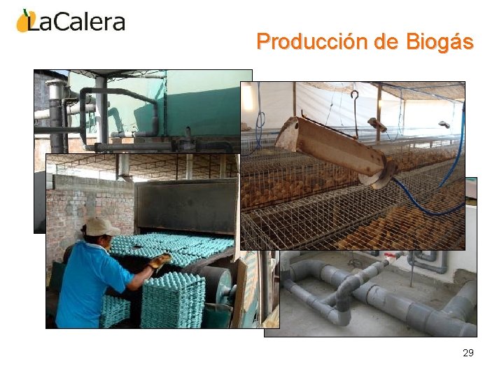 Producción de Biogás 29 