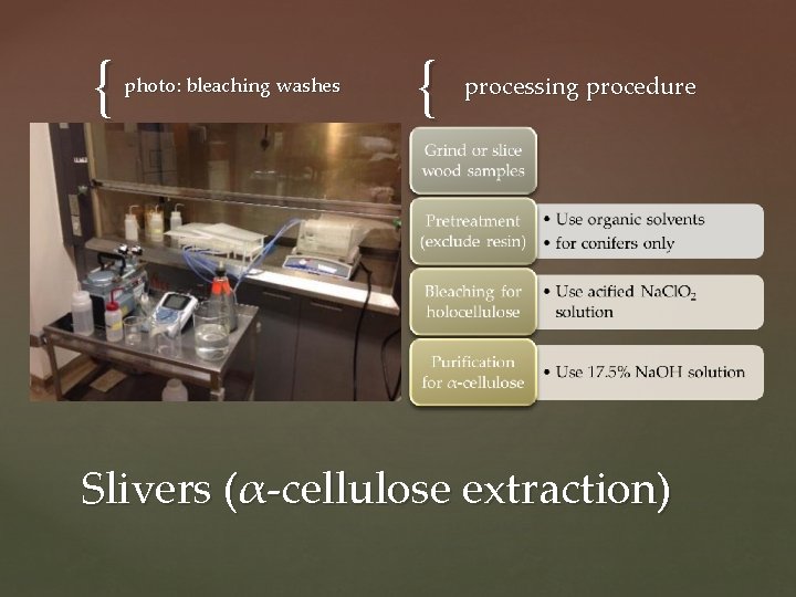 { photo: bleaching washes { processing procedure Slivers (α-cellulose extraction) 
