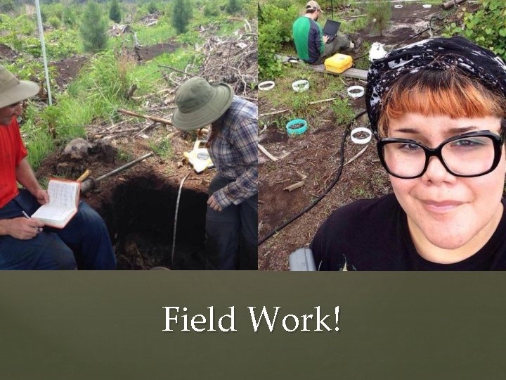 Field Work! 