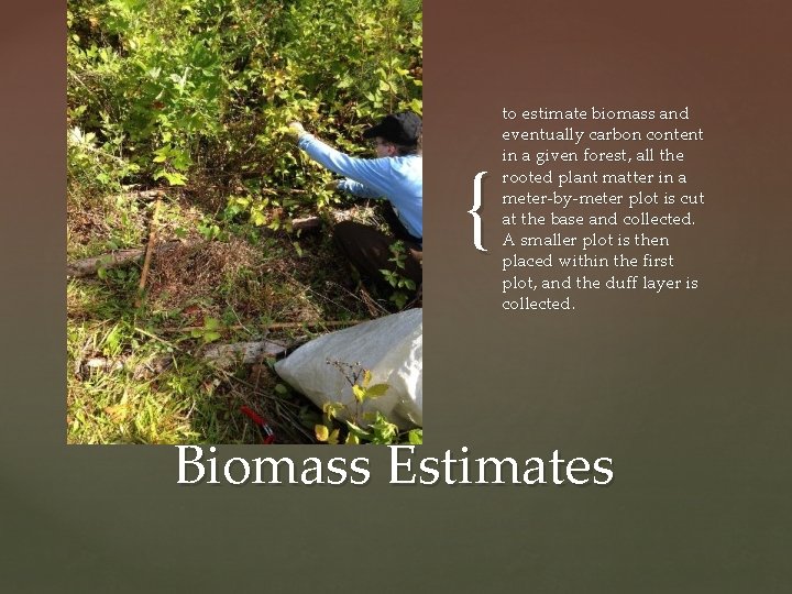 { to estimate biomass and eventually carbon content in a given forest, all the