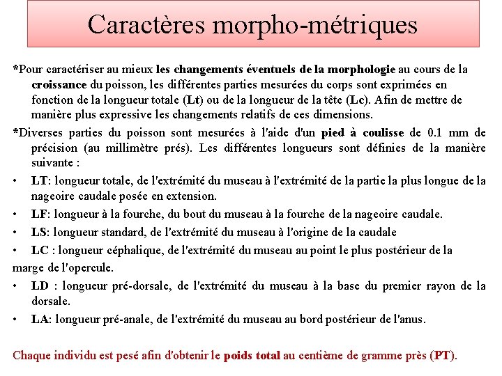 Caractères morpho-métriques *Pour caractériser au mieux les changements éventuels de la morphologie au cours